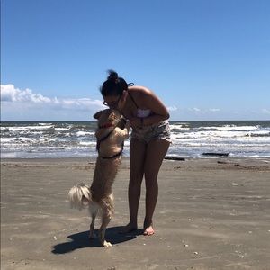 Meet your Posher, Arielle